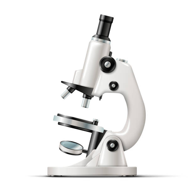 Vector realistic school laboratory microscope isolated on white background.